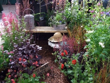Wendy Hicks Plants